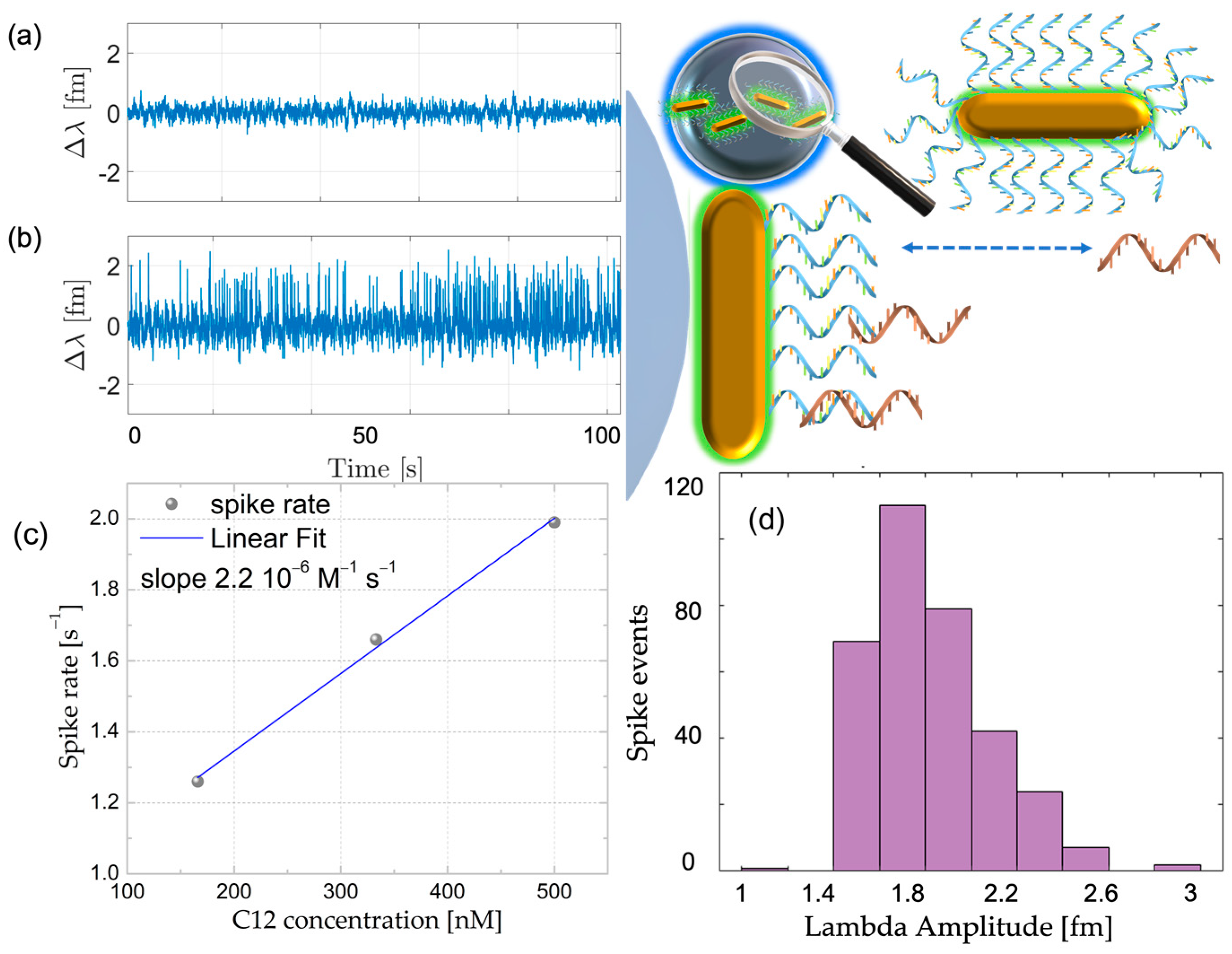 Sensors 23 03455 g009