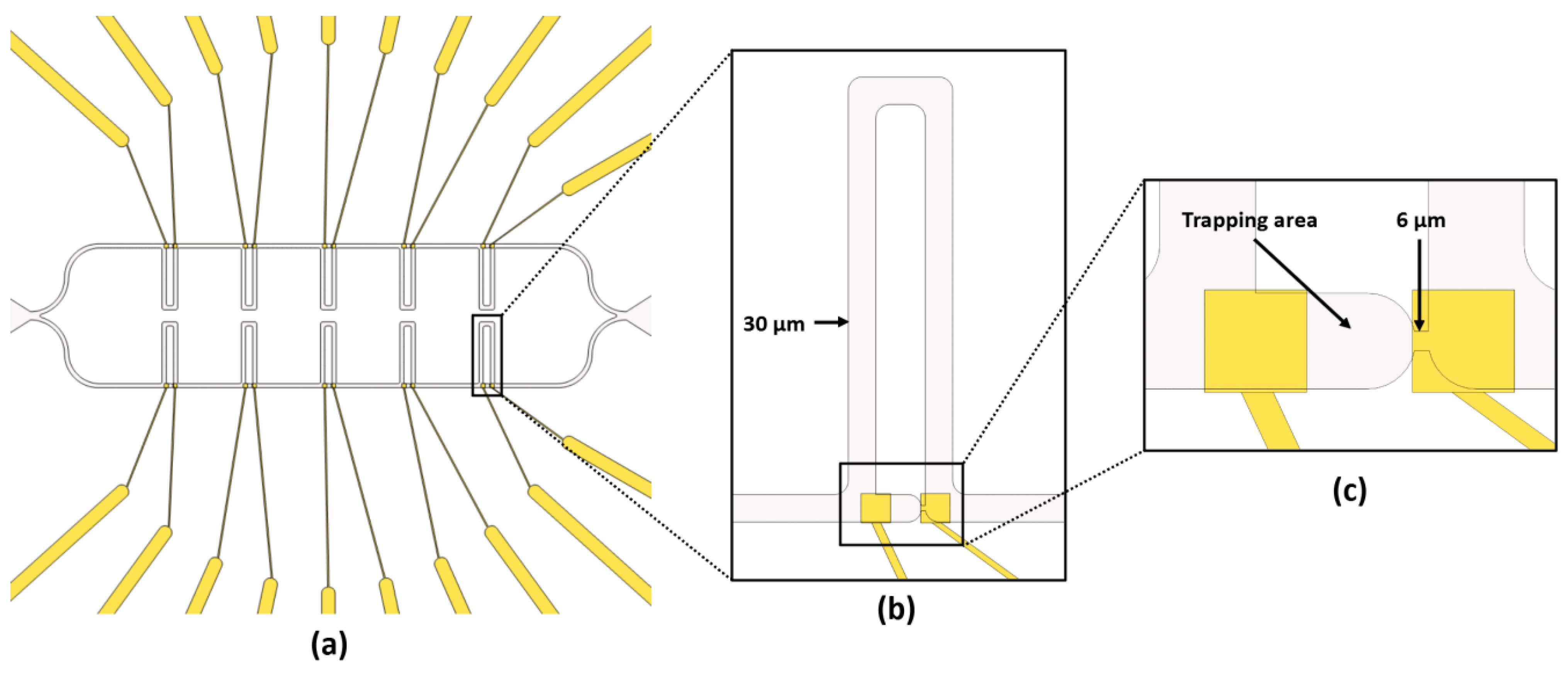 Sensors 23 03460 g003 Sensors 23 03460 g003