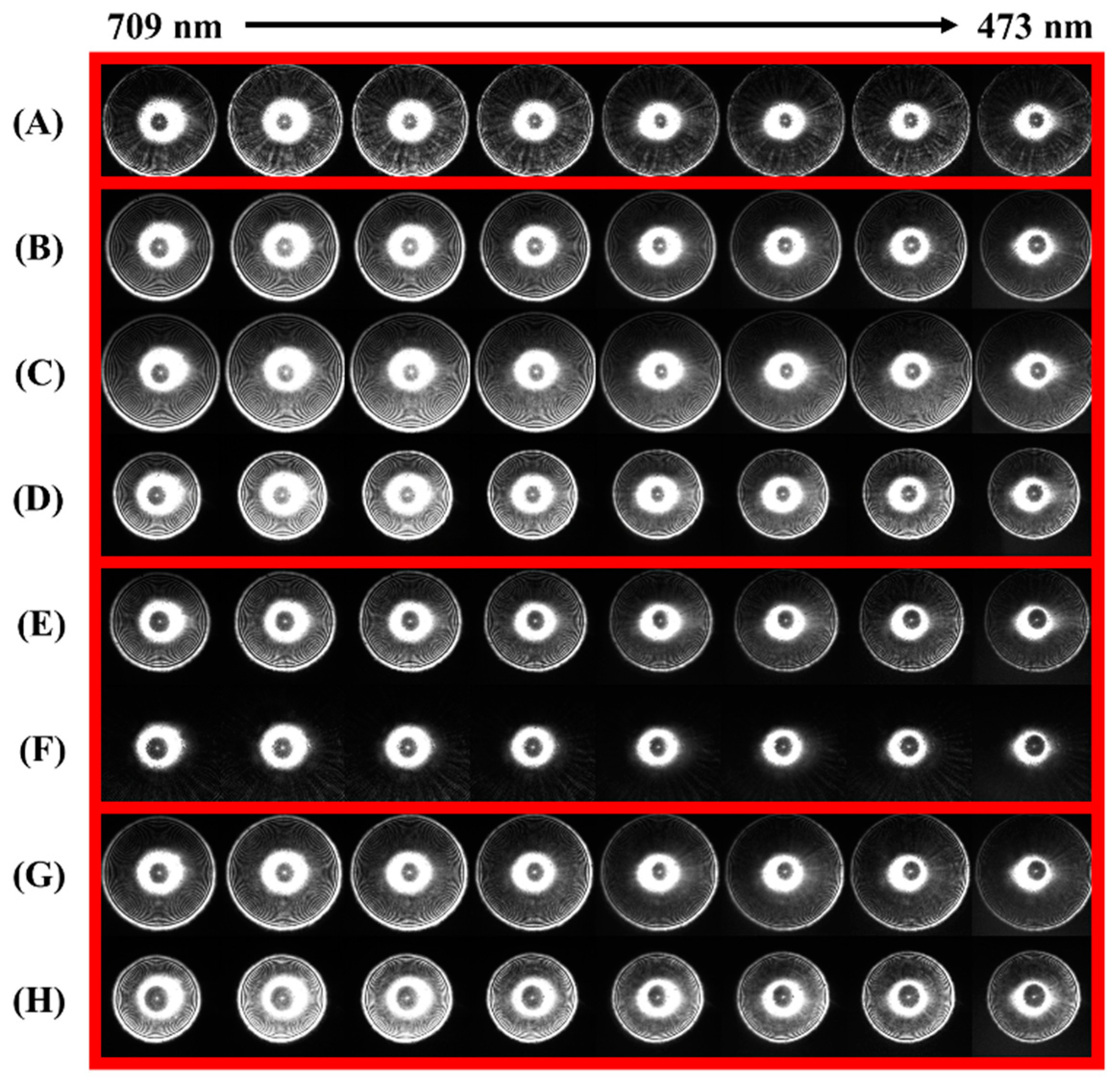 Sensors 23 03485 g003 Sensors 23 03485 g003