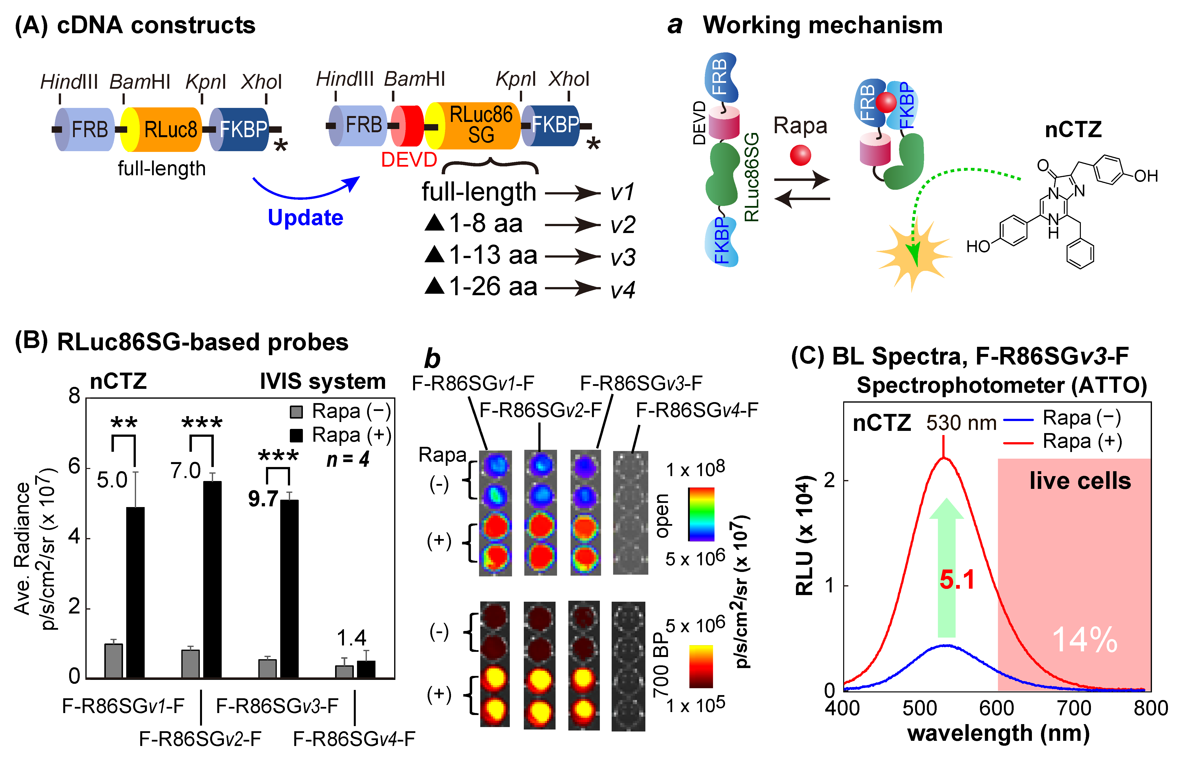Sensors 23 03498 g002