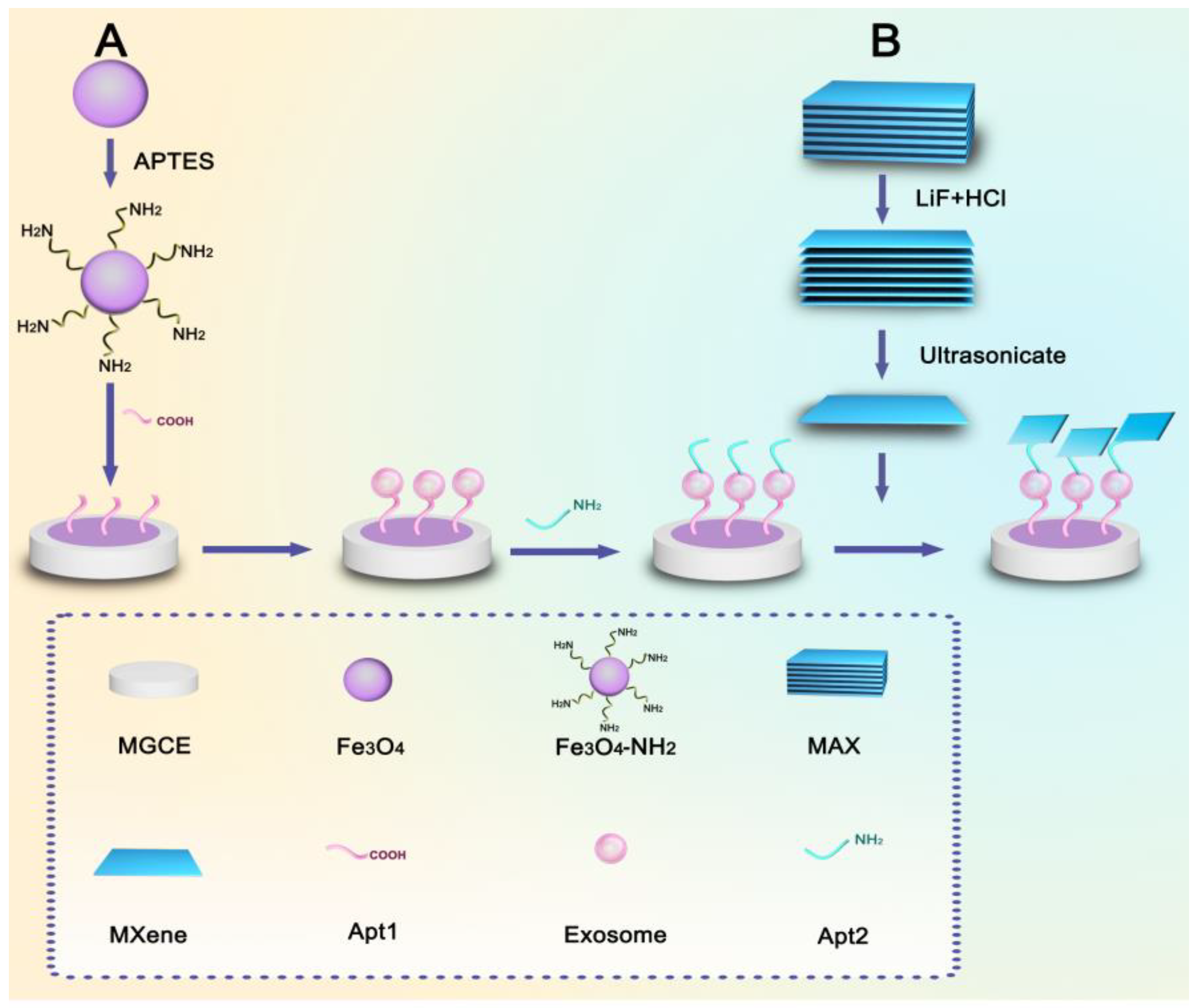 Sensors 23 03508 sch001