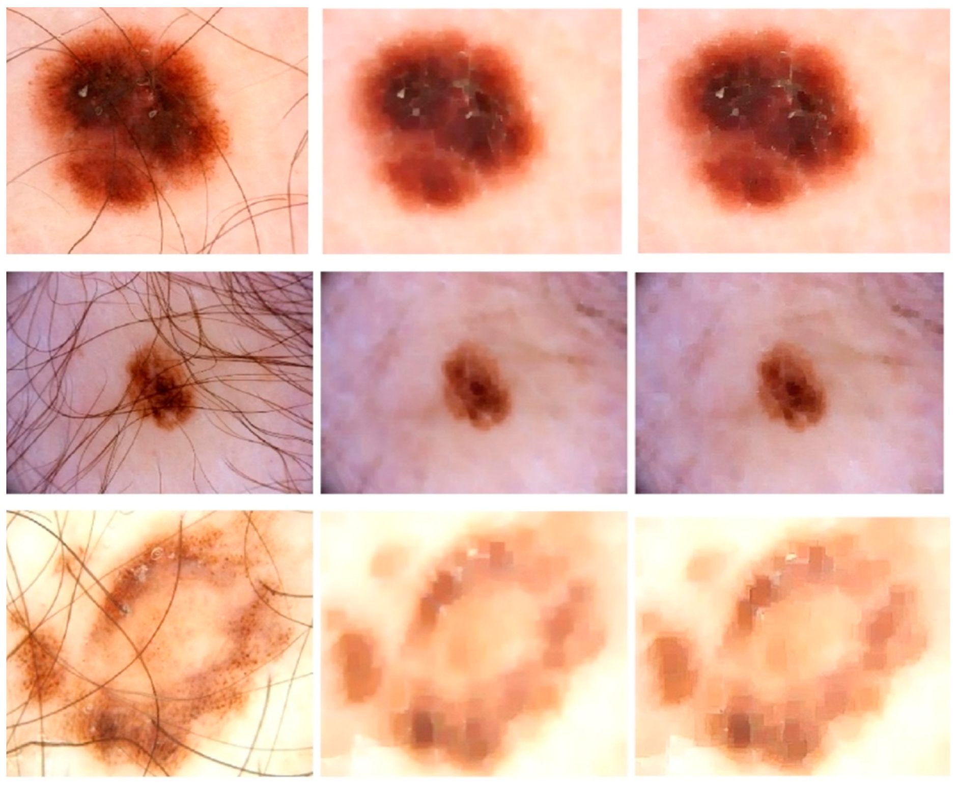 Sensors 23 03548 g002 Sensors 23 03548 g002