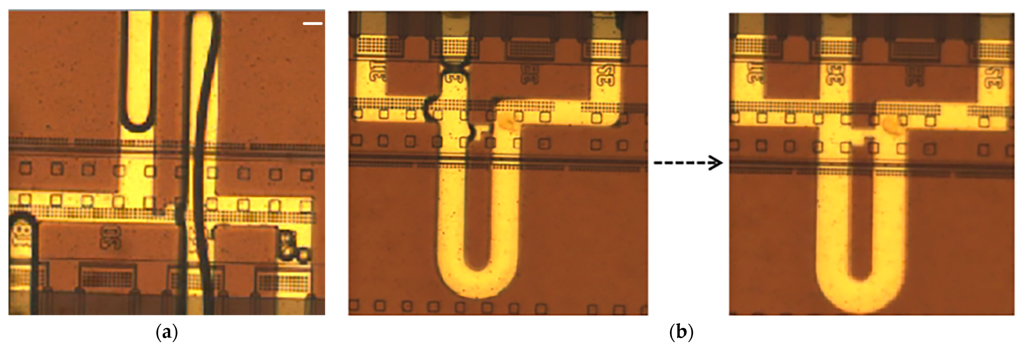 Sensors 23 03623 g004