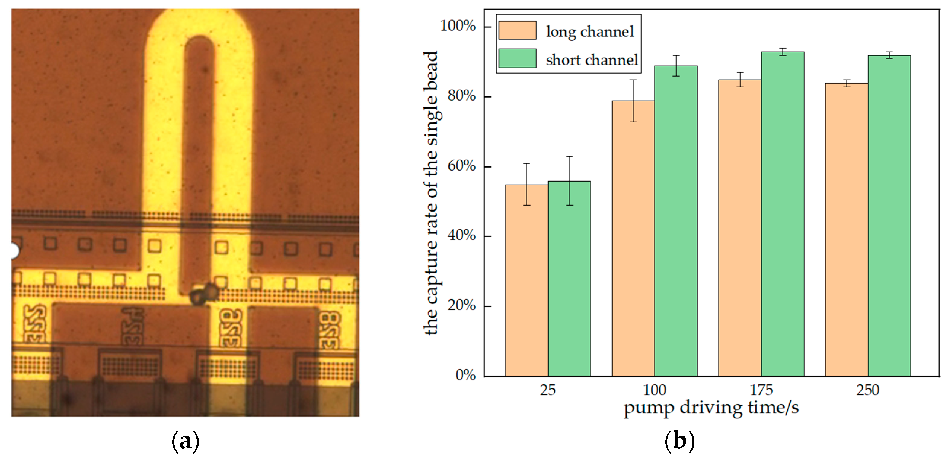 Sensors 23 03623 g008
