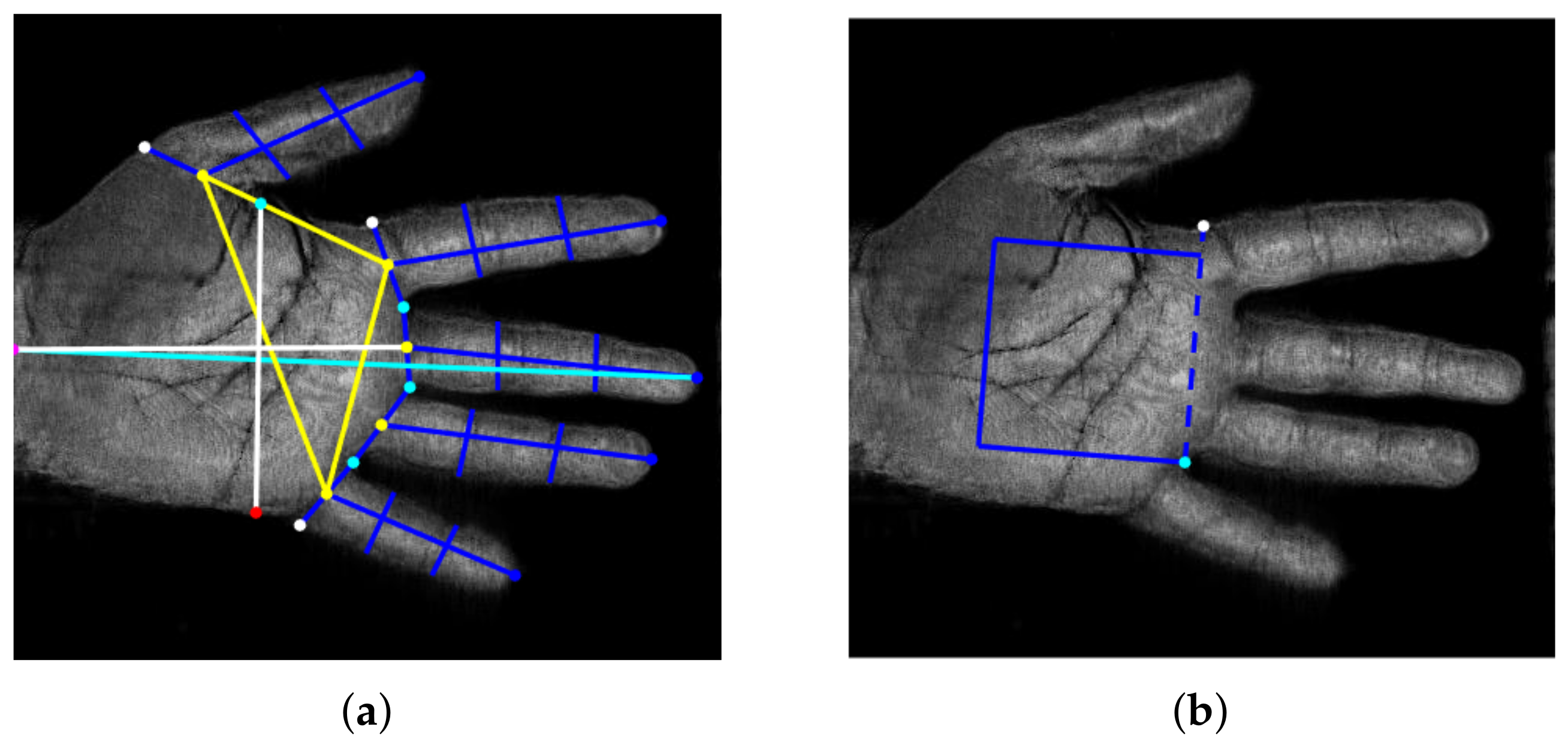 Sensors 23 03653 g002 Sensors 23 03653 g002