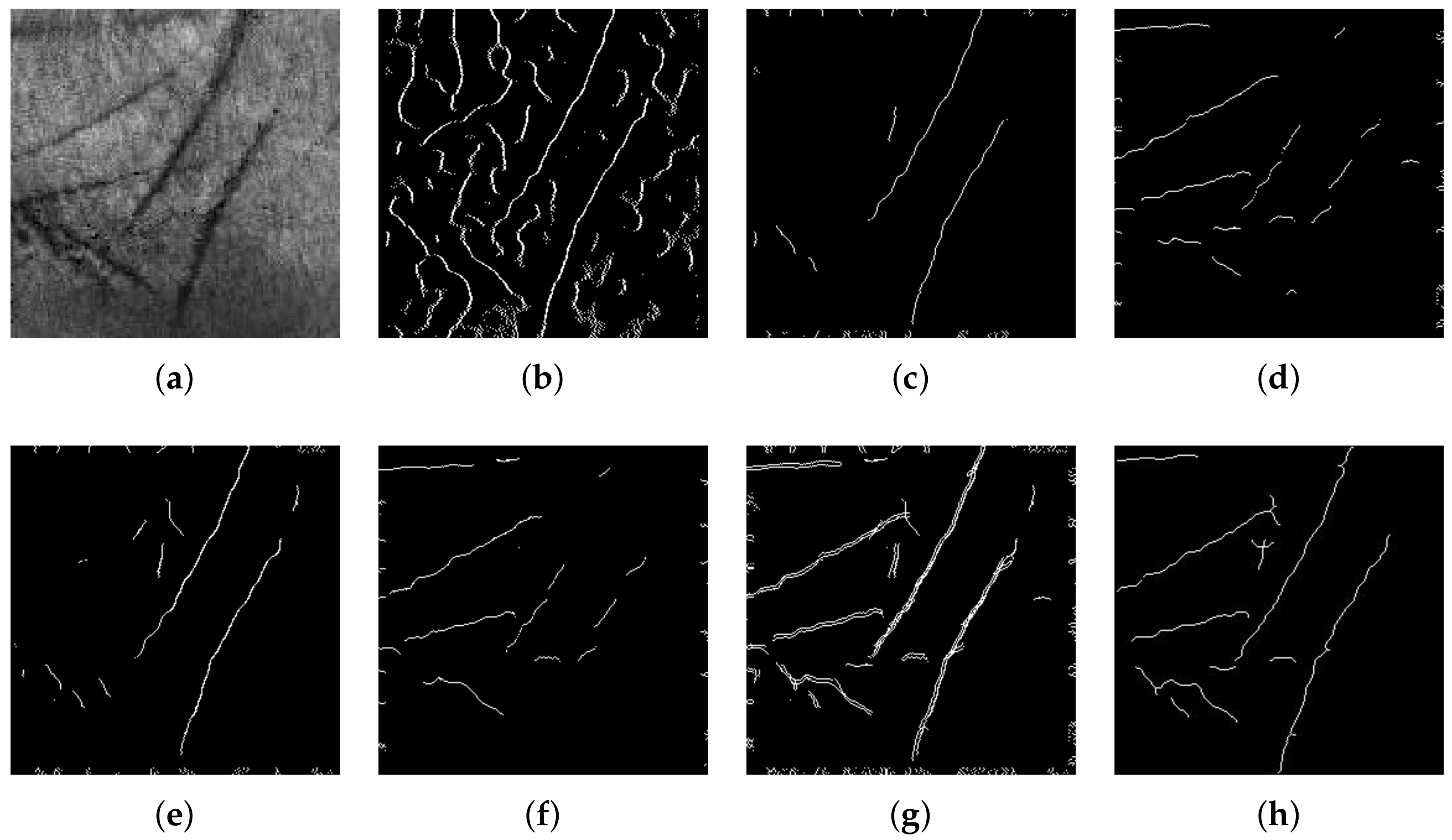 Sensors 23 03653 g003 Sensors 23 03653 g003