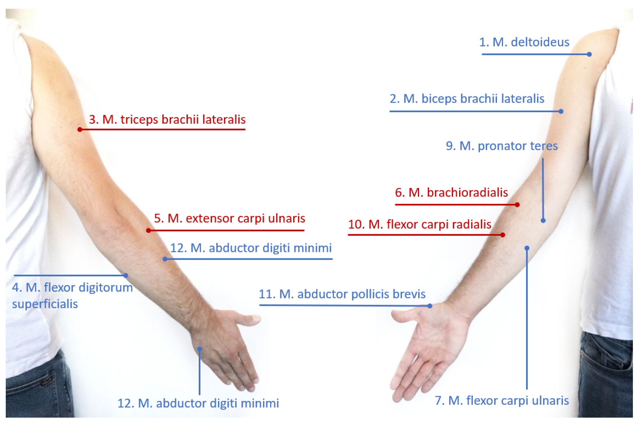 Sensors 23 03716 g002 Sensors 23 03716 g002