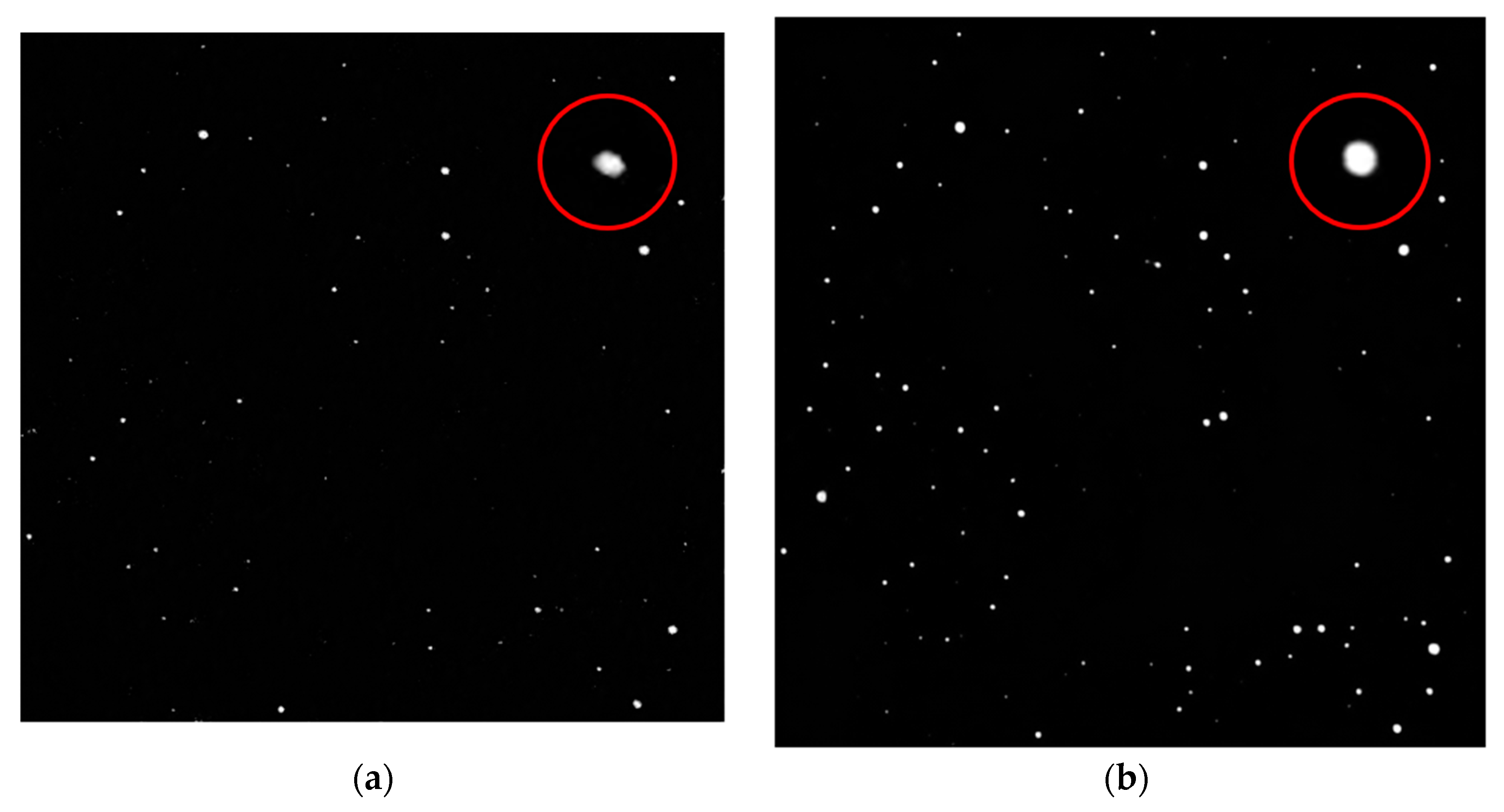 Sensors 23 03745 g006