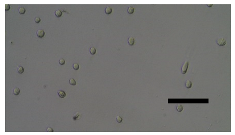 Sensors 23 03748 i001