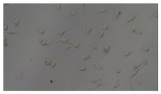 Sensors 23 03748 i007