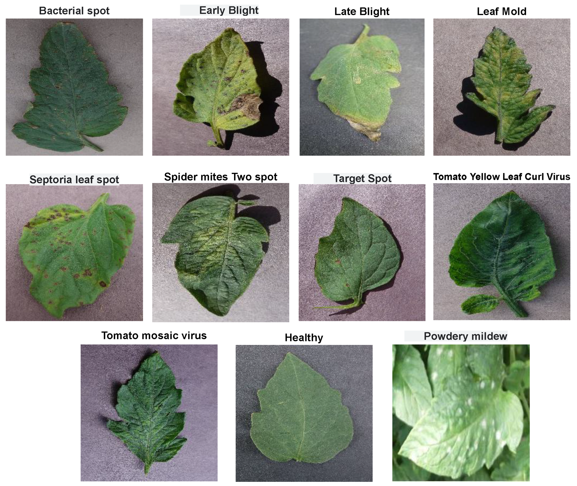 Sensors 23 03751 g001