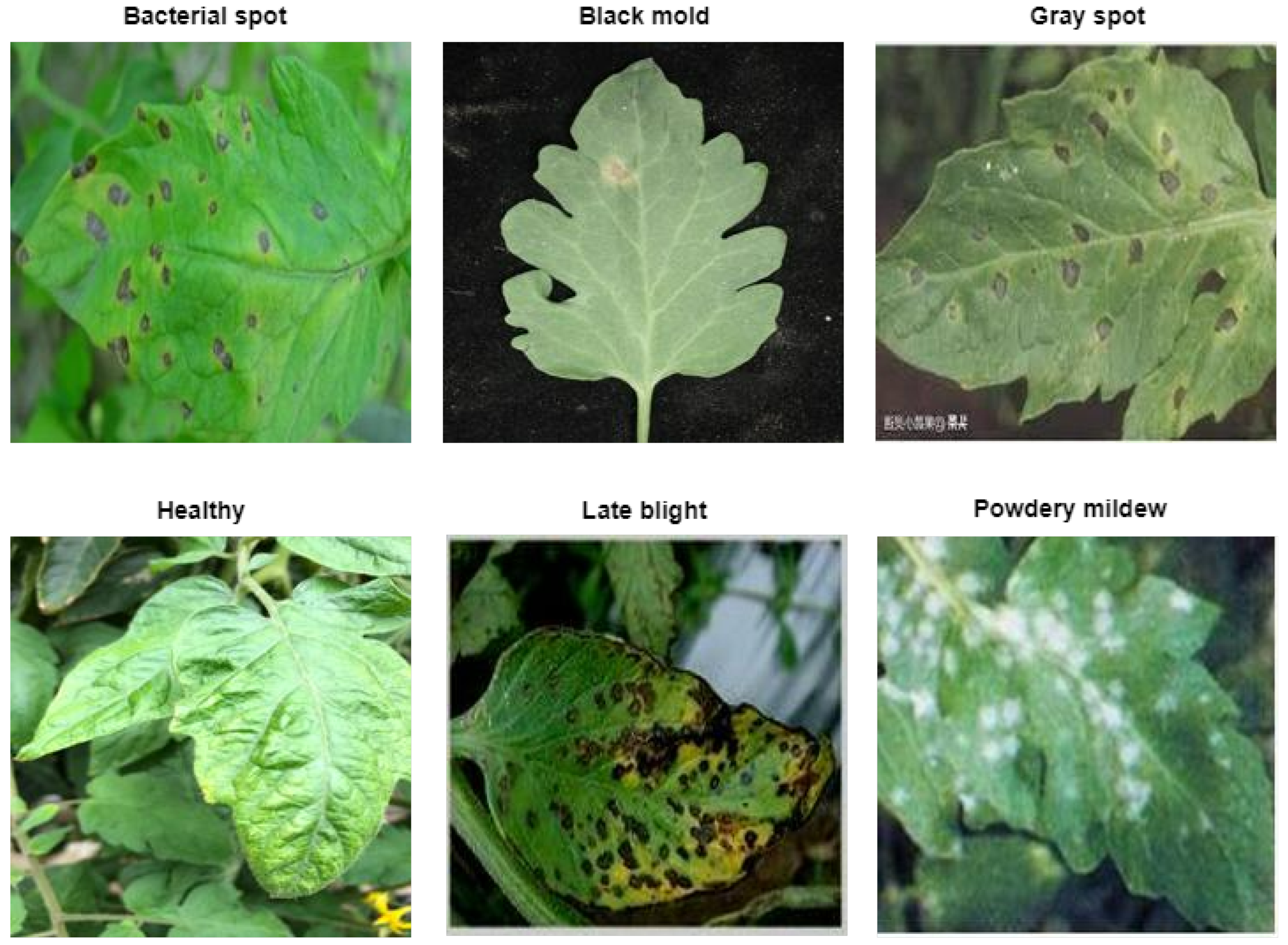 Sensors 23 03751 g002