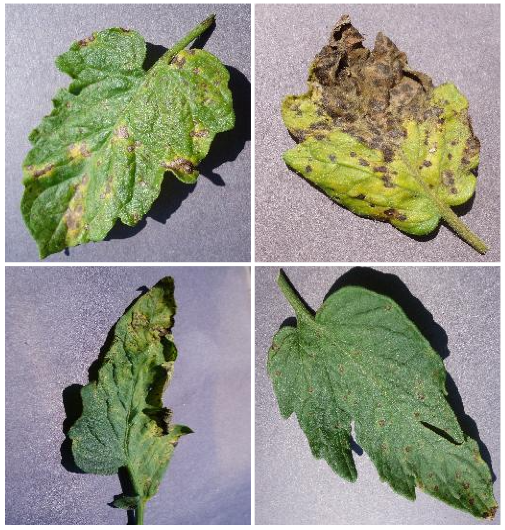 Sensors 23 03751 g013