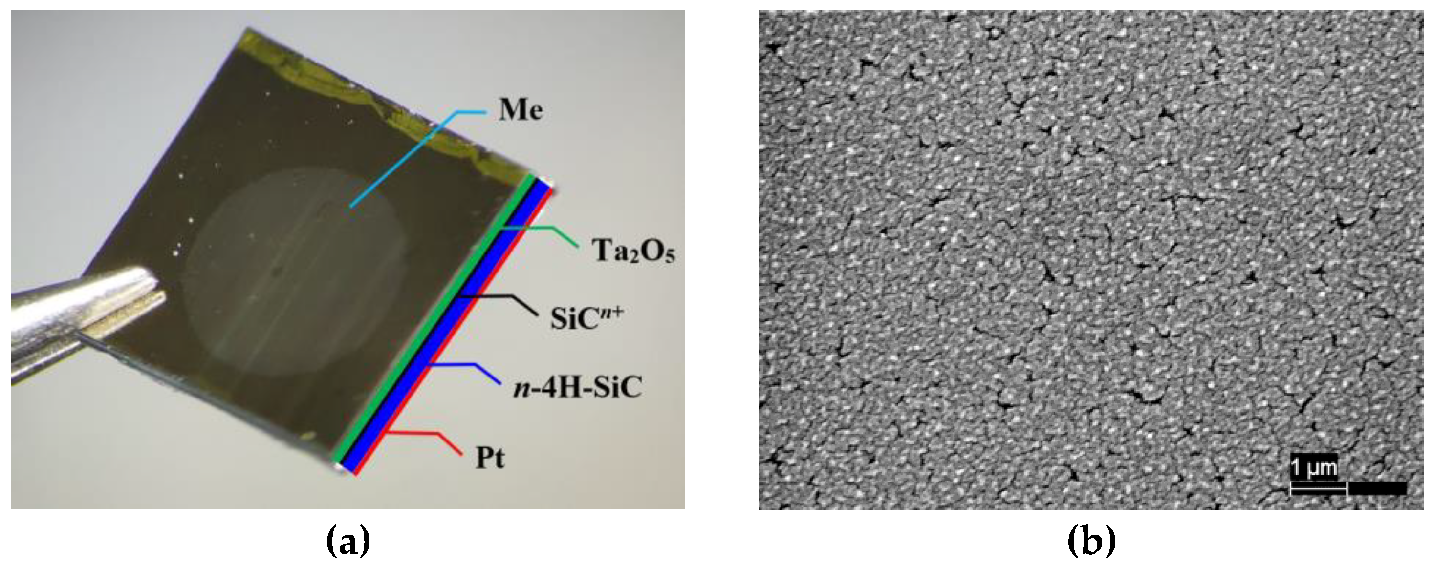 Sensors 23 03760 g002 Sensors 23 03760 g002