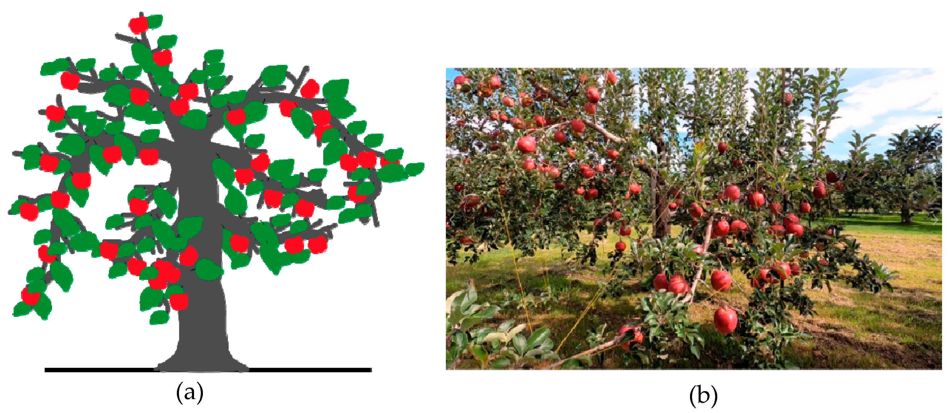 Sensors 23 03810 g001 Sensors 23 03810 g001