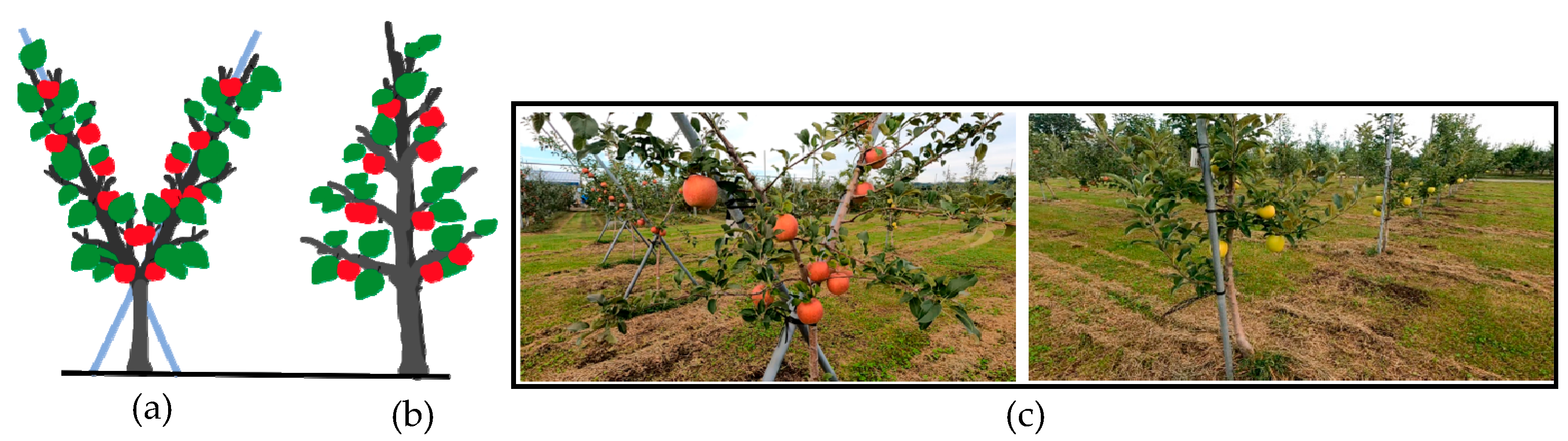 Sensors 23 03810 g002 Sensors 23 03810 g002