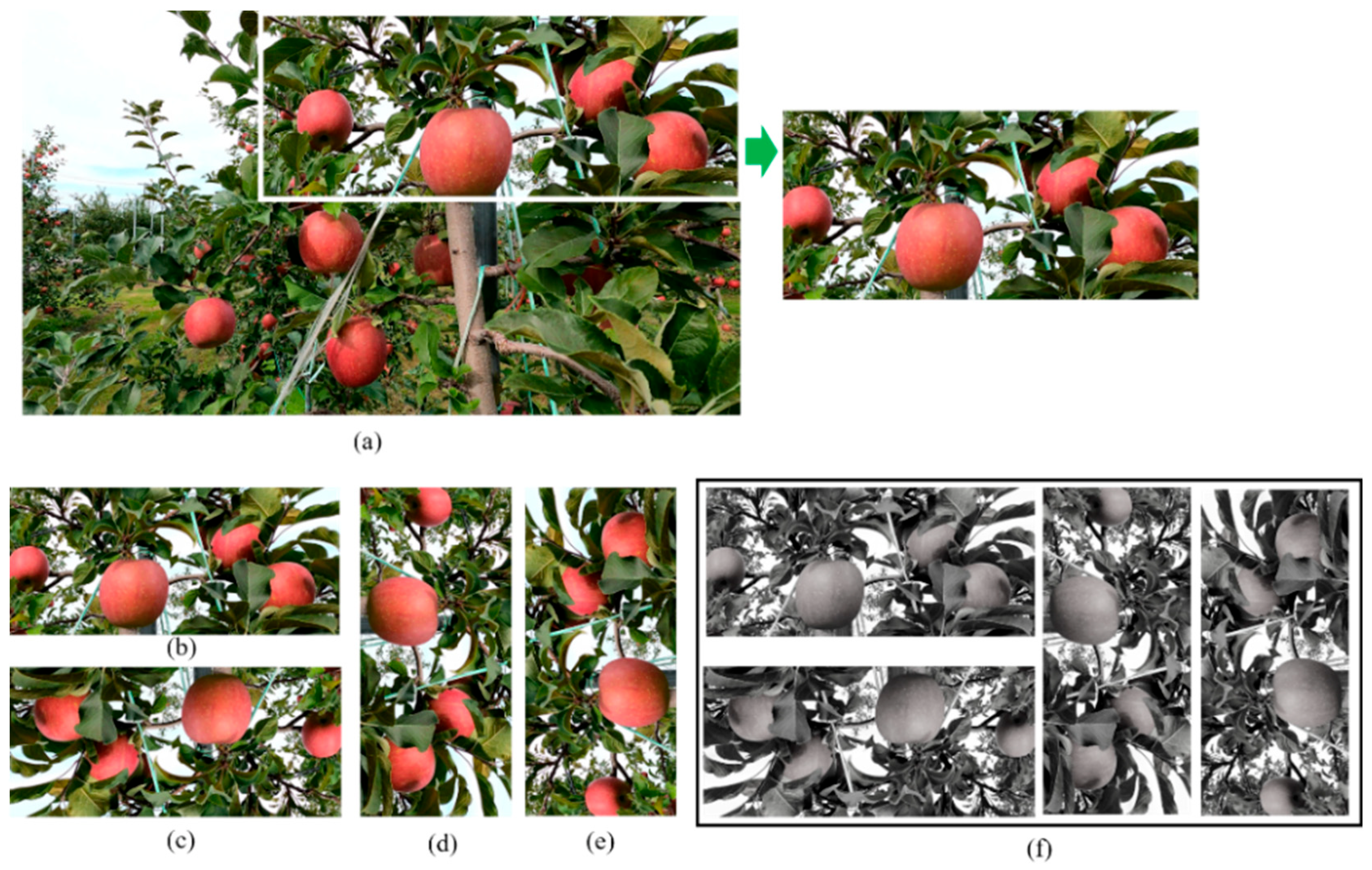 Sensors 23 03810 g003 Sensors 23 03810 g003