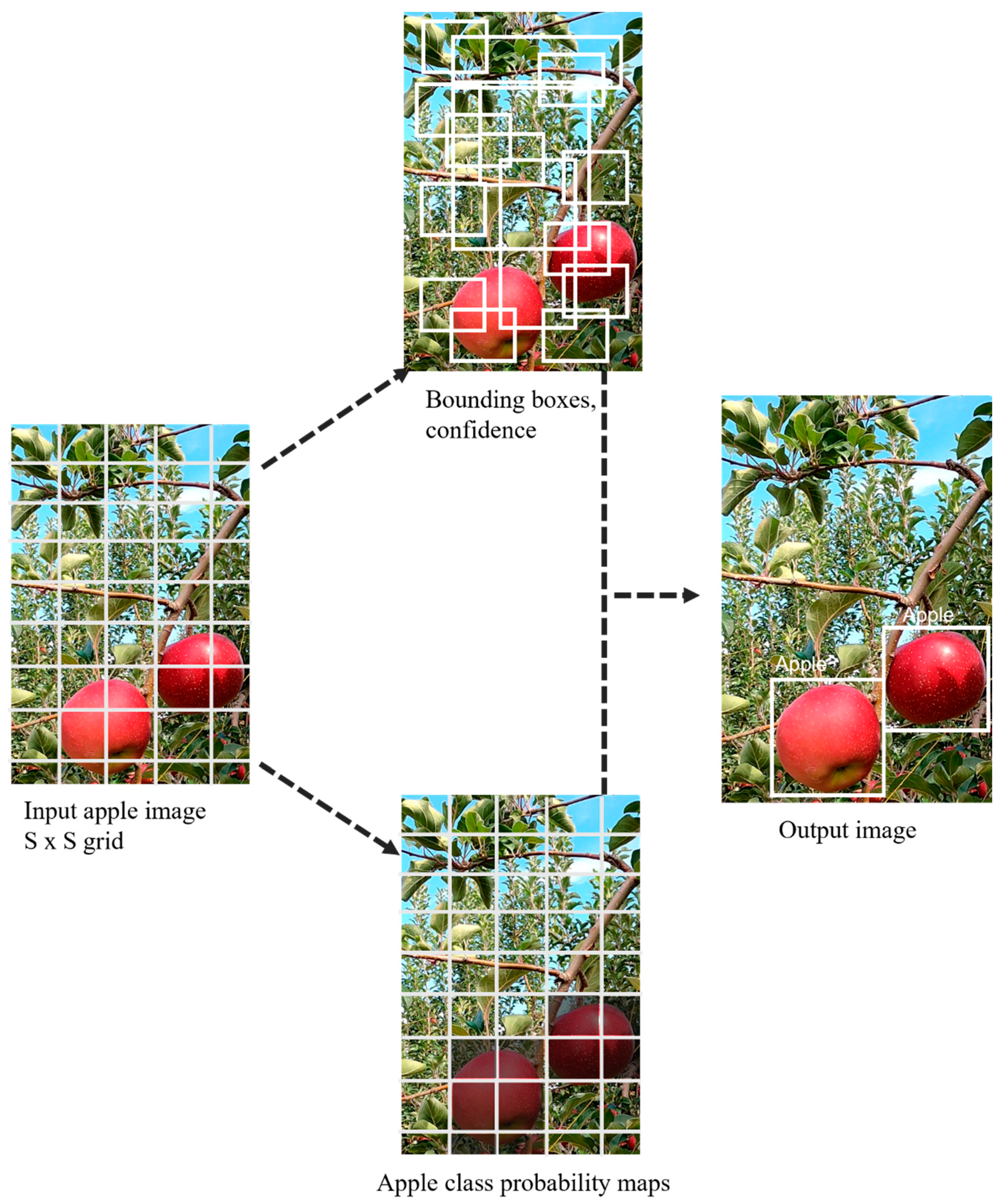 Sensors 23 03810 g005 Sensors 23 03810 g005