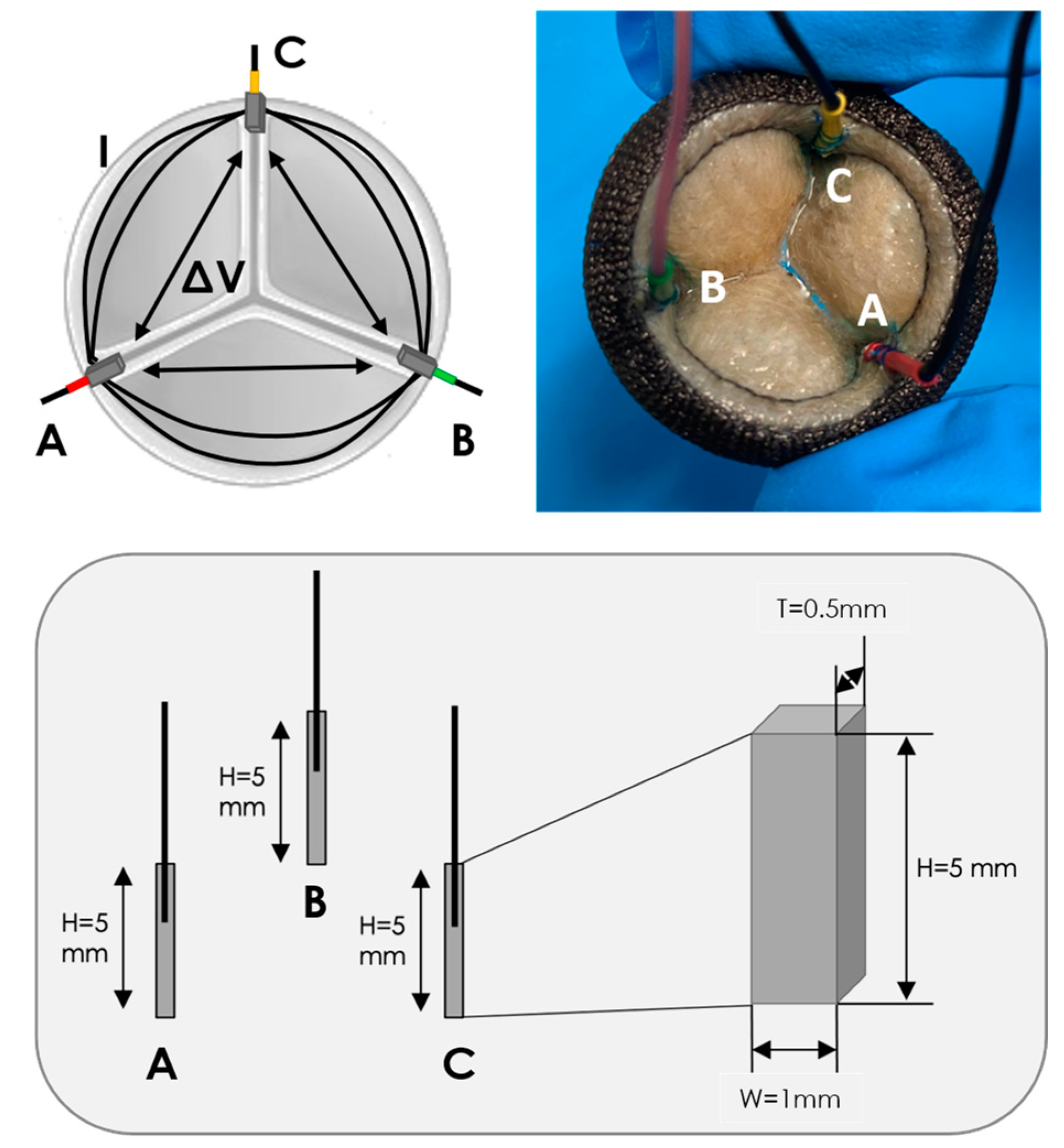 Sensors 23 03829 g001