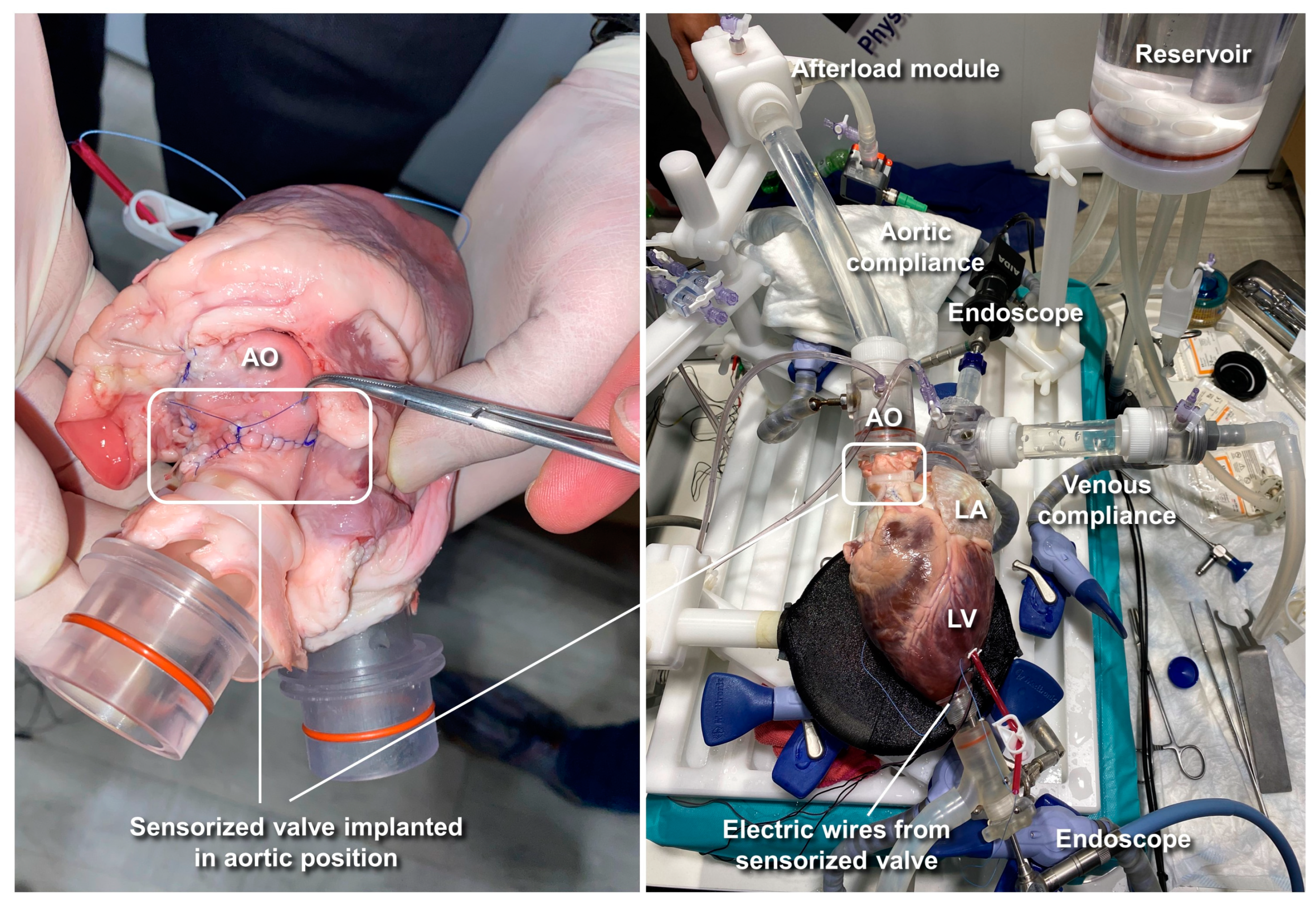 Sensors 23 03829 g004