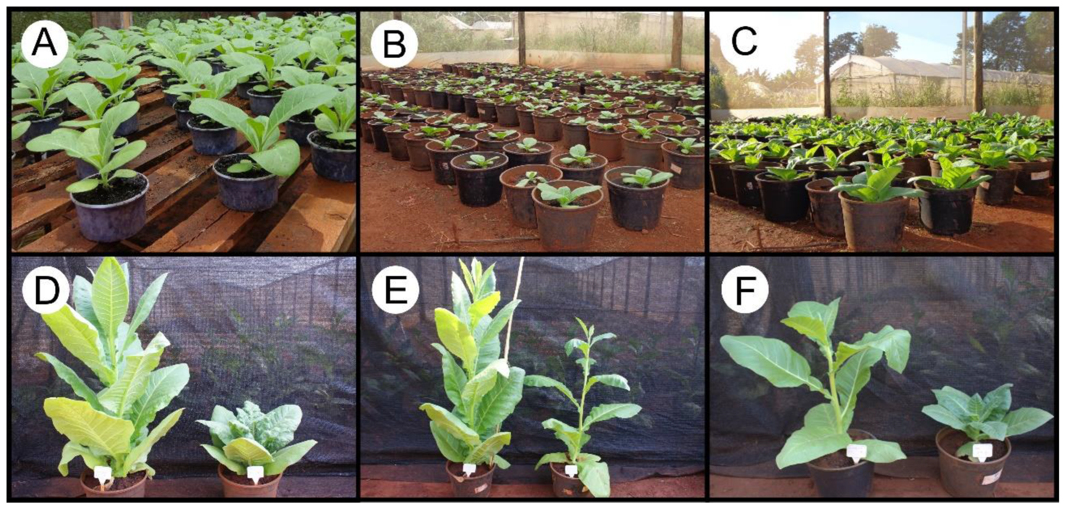 Sensors 23 03843 g002 Sensors 23 03843 g002