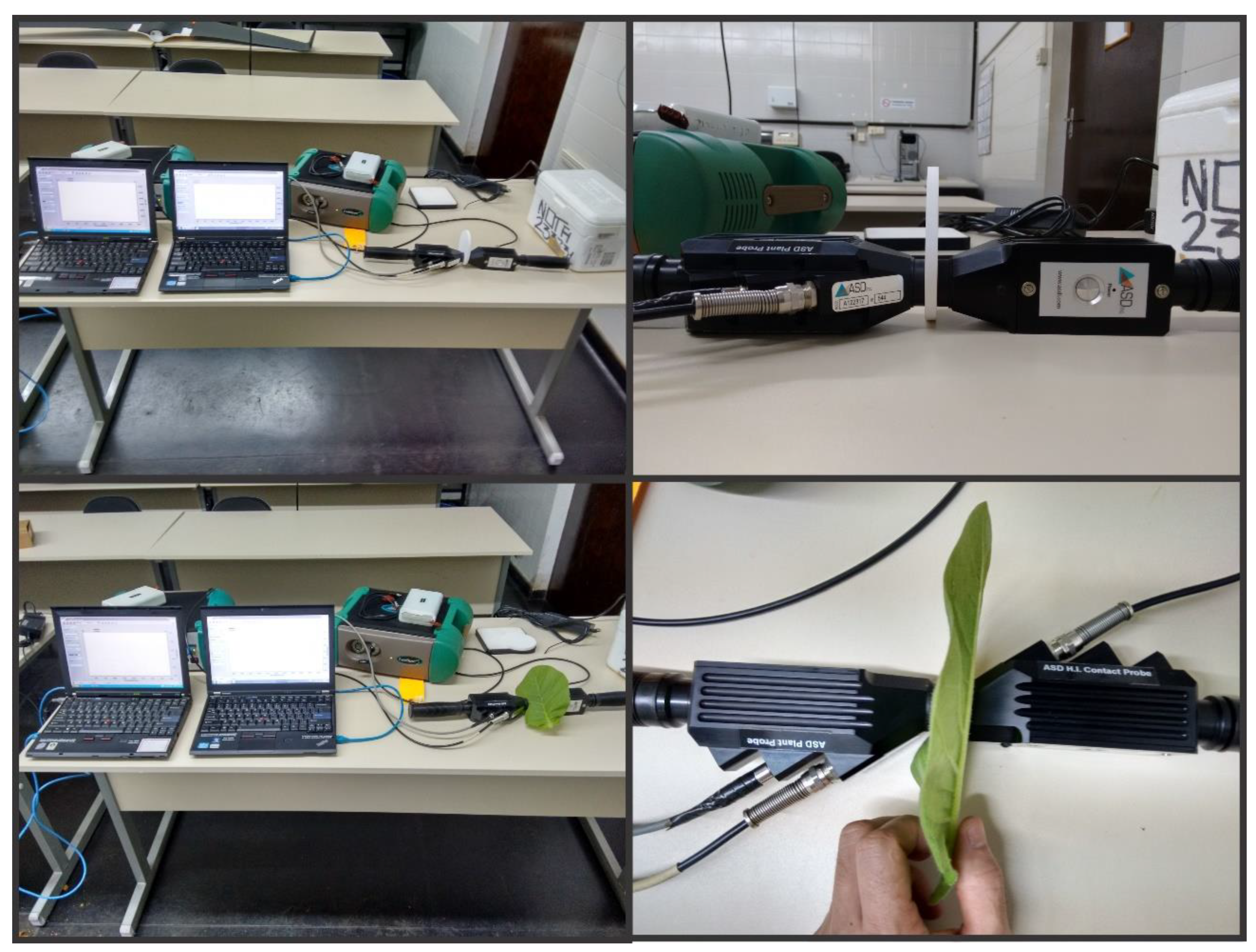 Sensors 23 03843 g003 Sensors 23 03843 g003