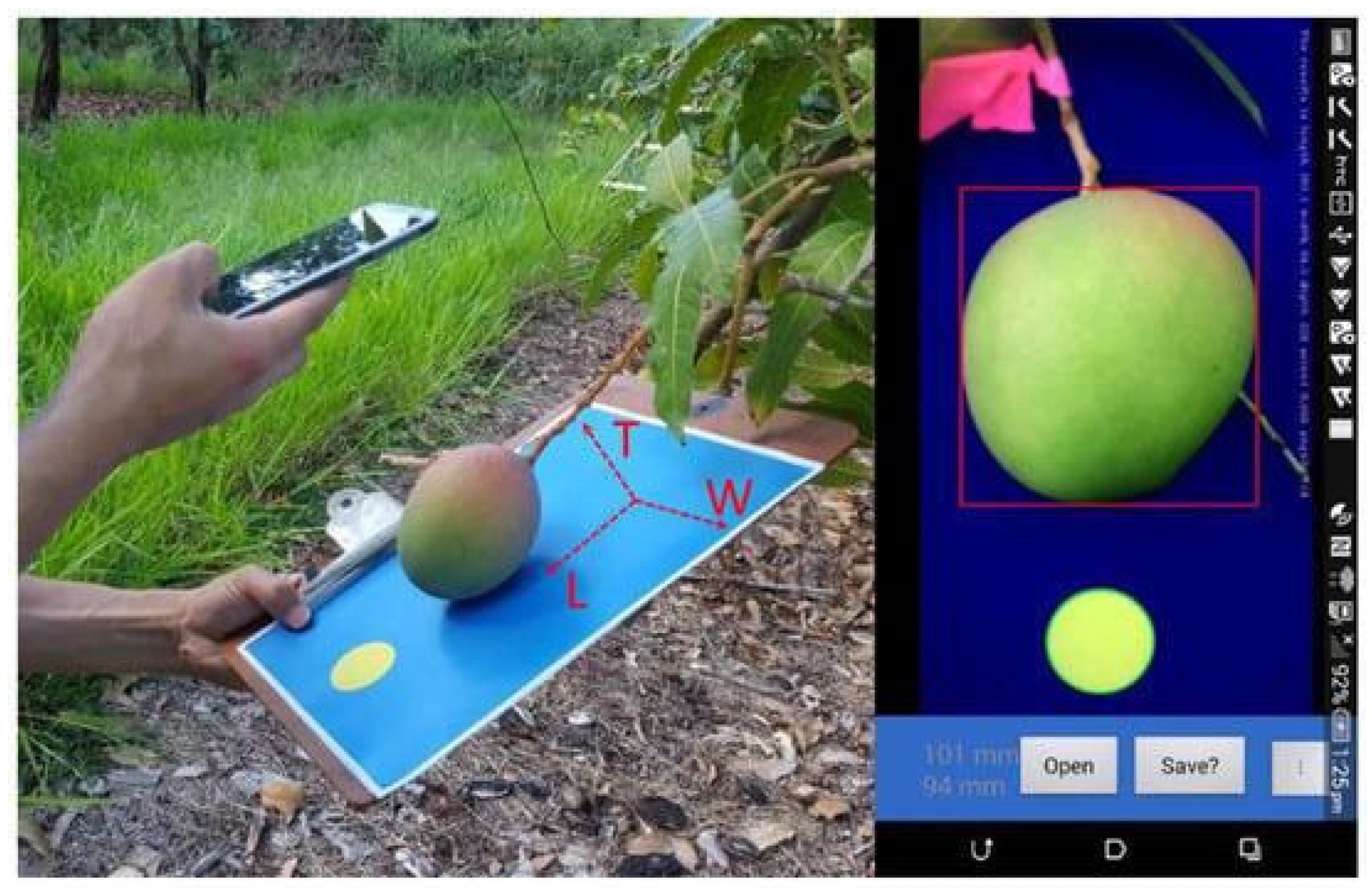 Sensors 23 03868 g002 Sensors 23 03868 g002