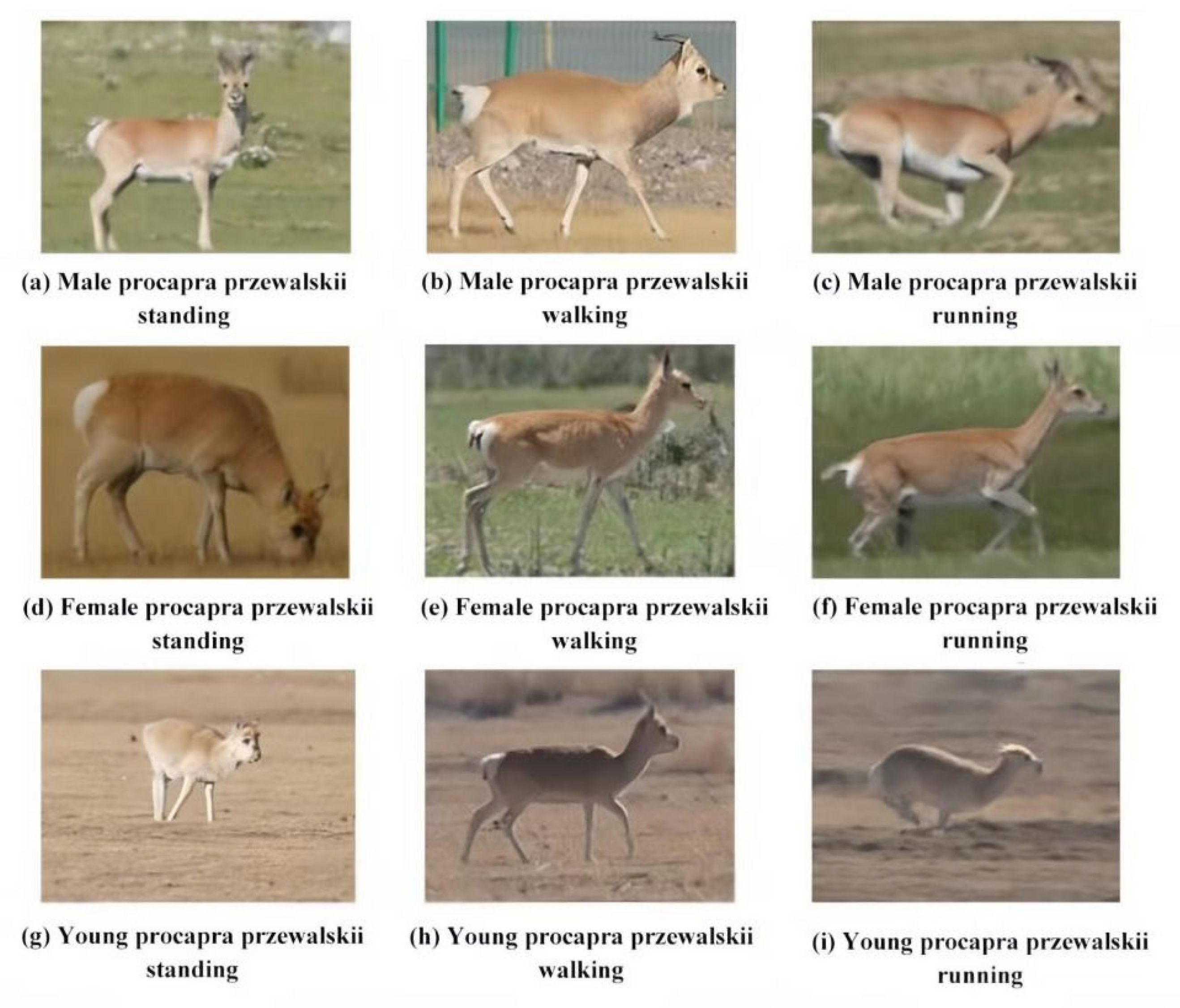 Sensors 23 03948 g005