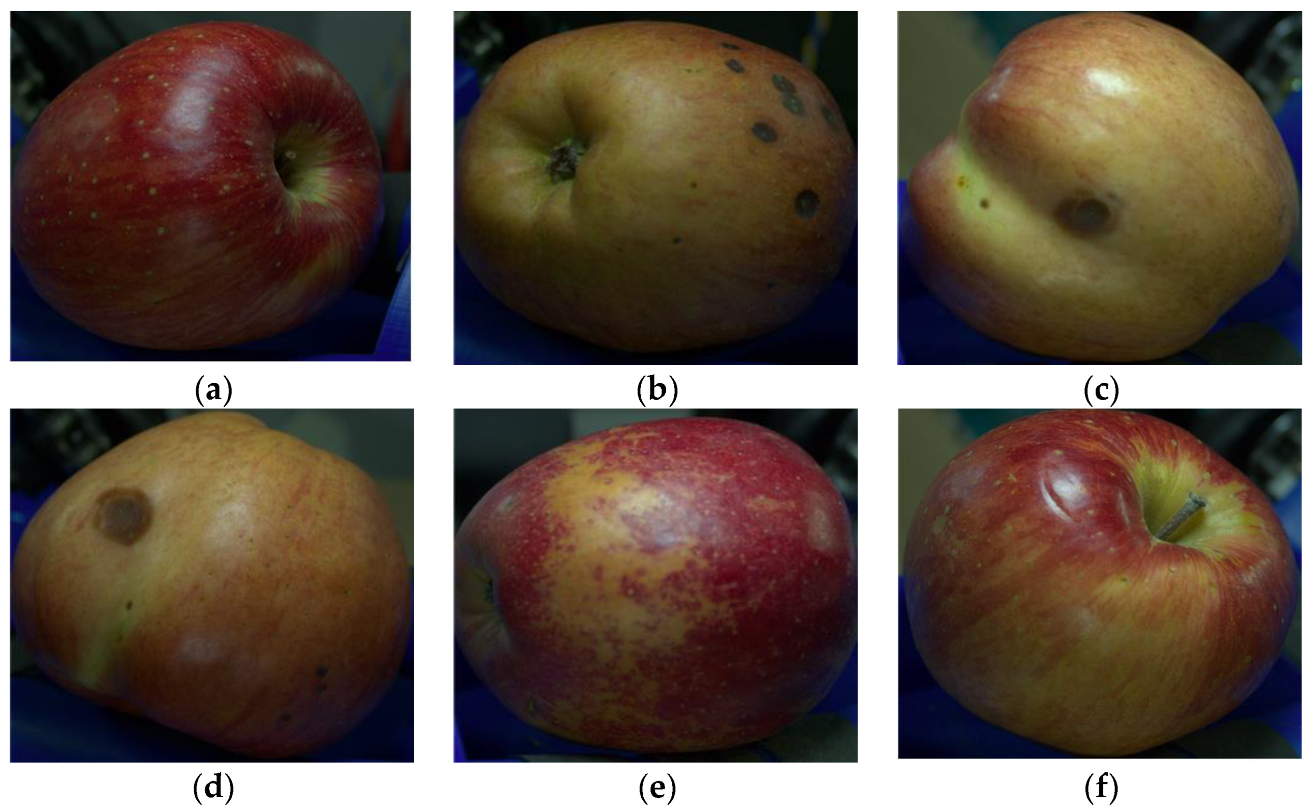 Sensors 23 03968 g005