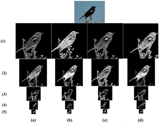 Sensors 23 03970 g005