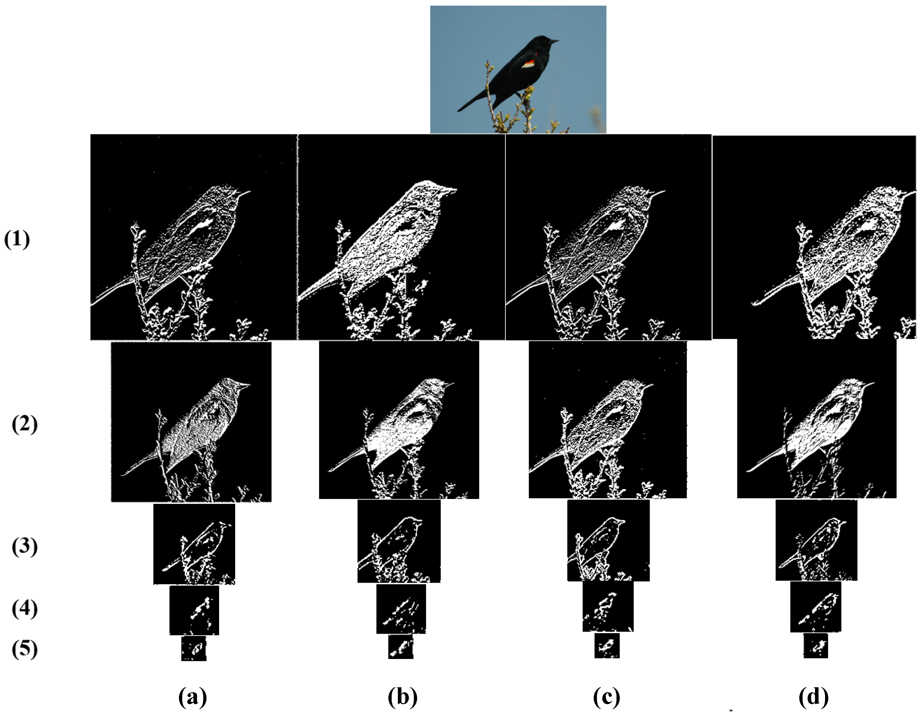 Sensors 23 03970 g005