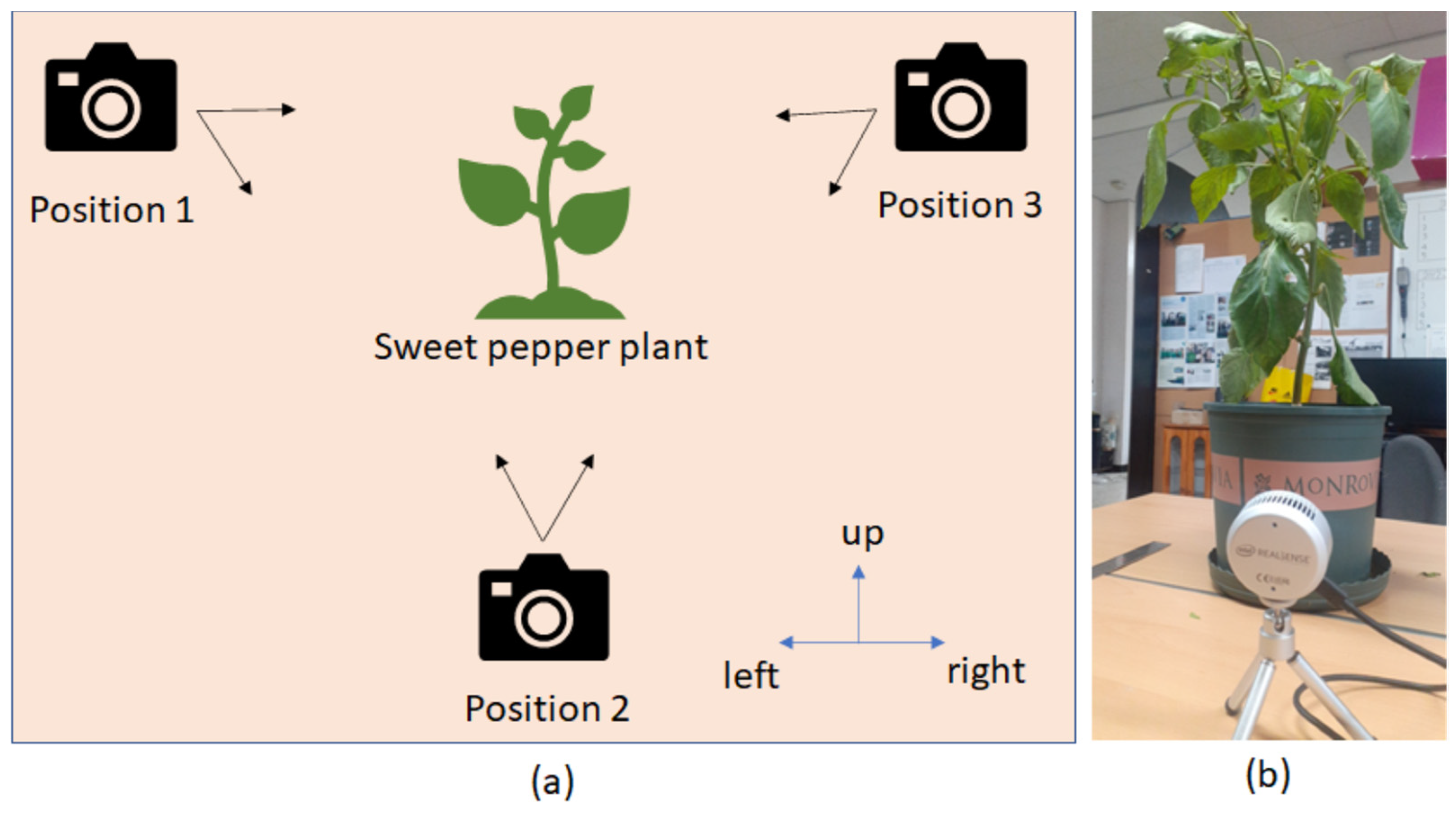 Sensors 23 04040 g010