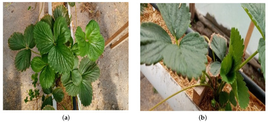 Sensors 23 04088 g0a1