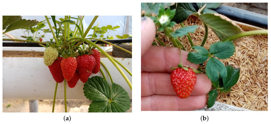 Sensors 23 04088 g0a2