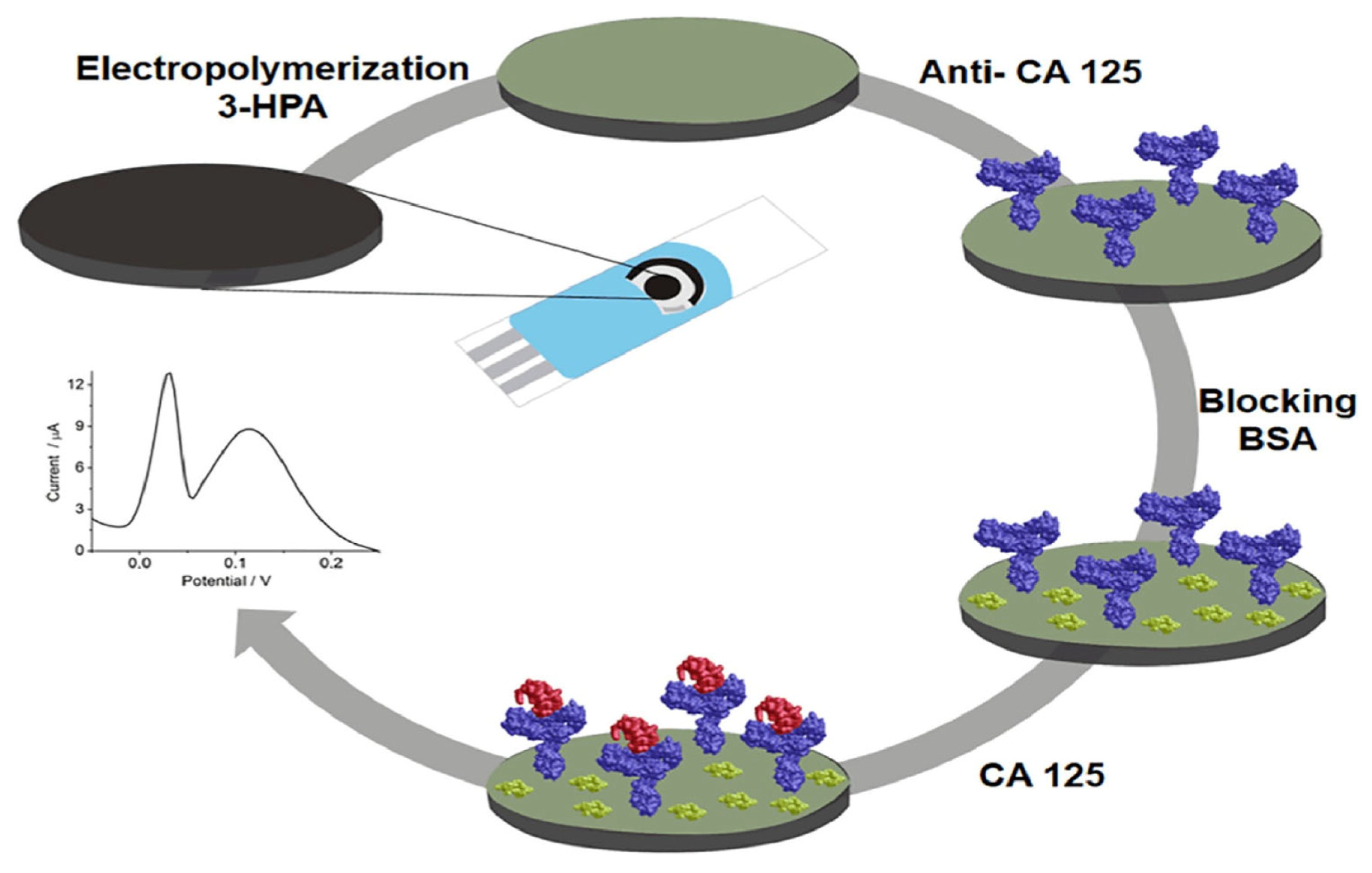 Sensors 23 04106 g010