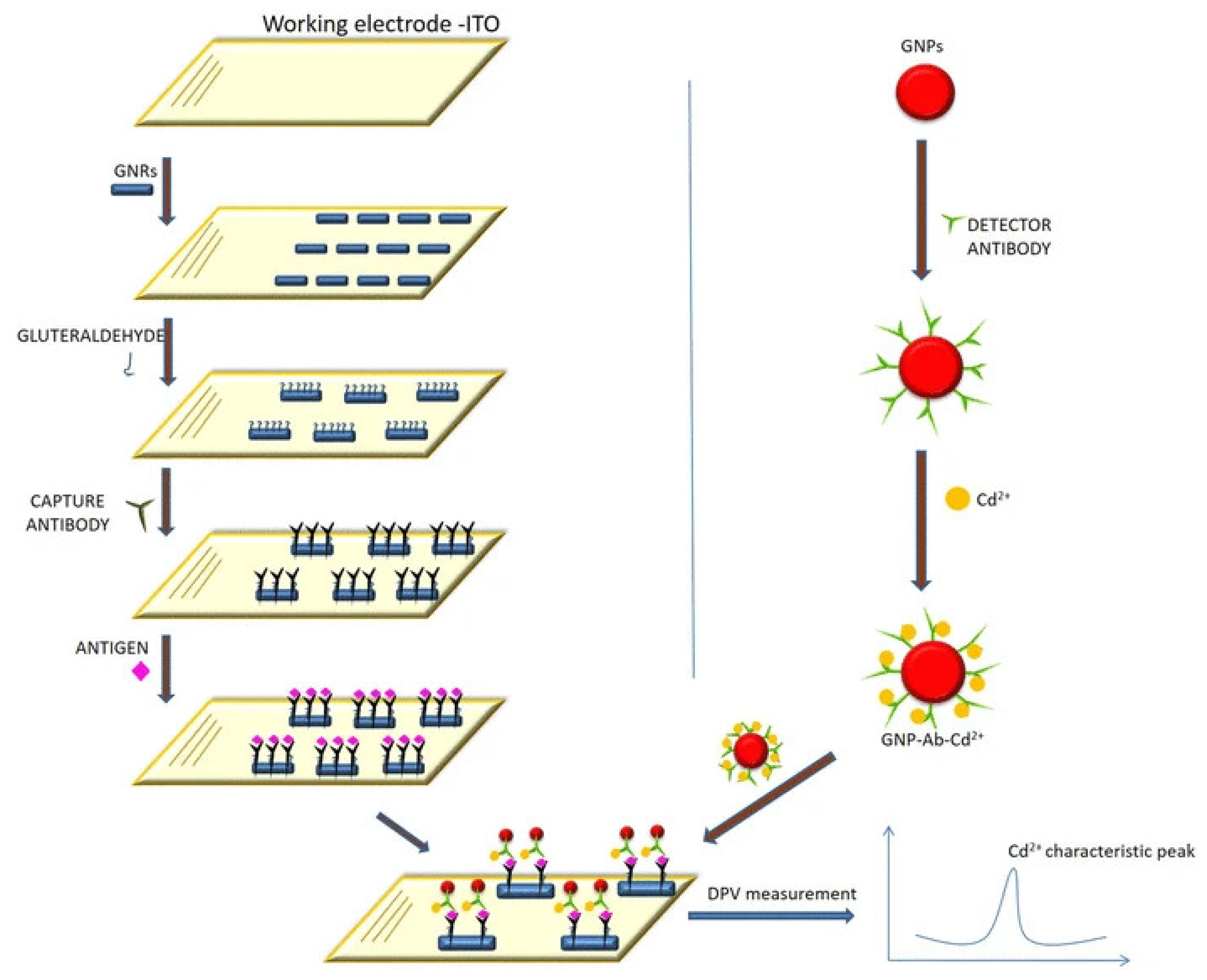 Sensors 23 04106 g019
