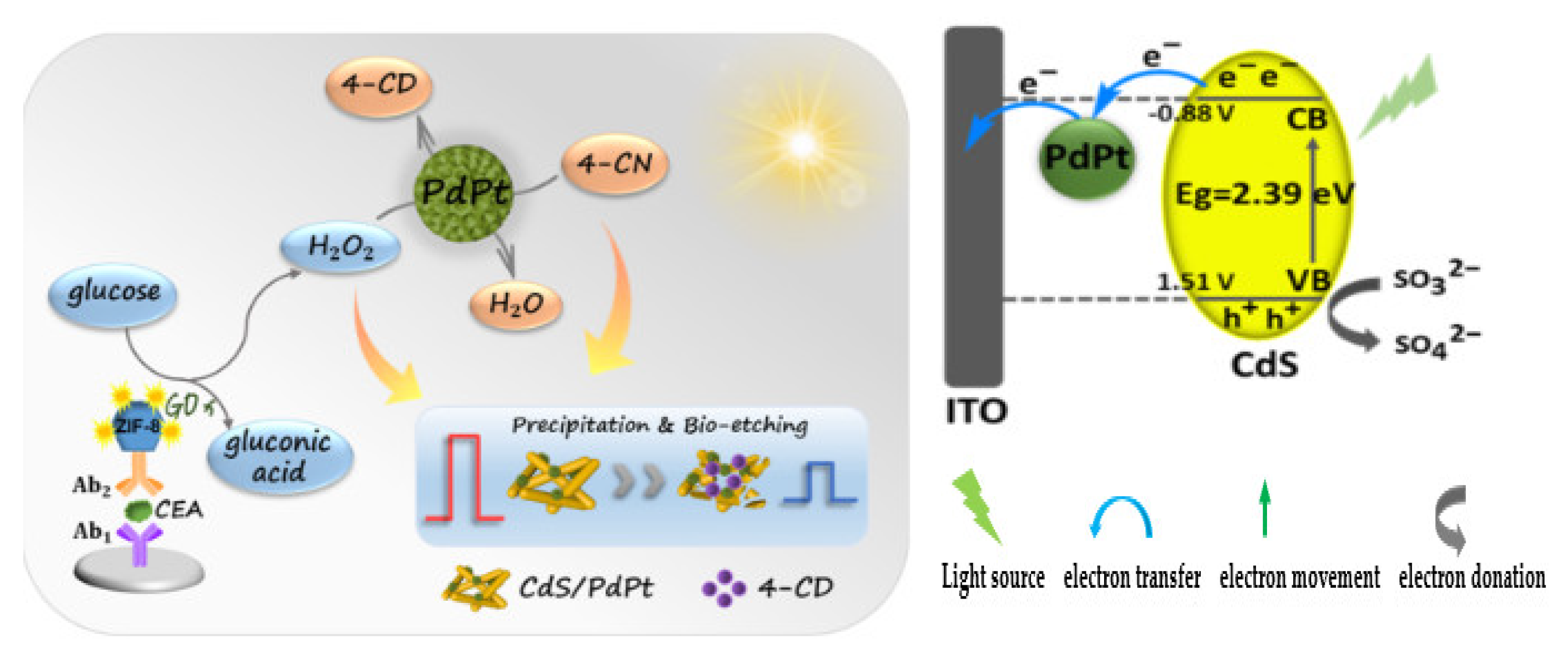 Sensors 23 04106 g022