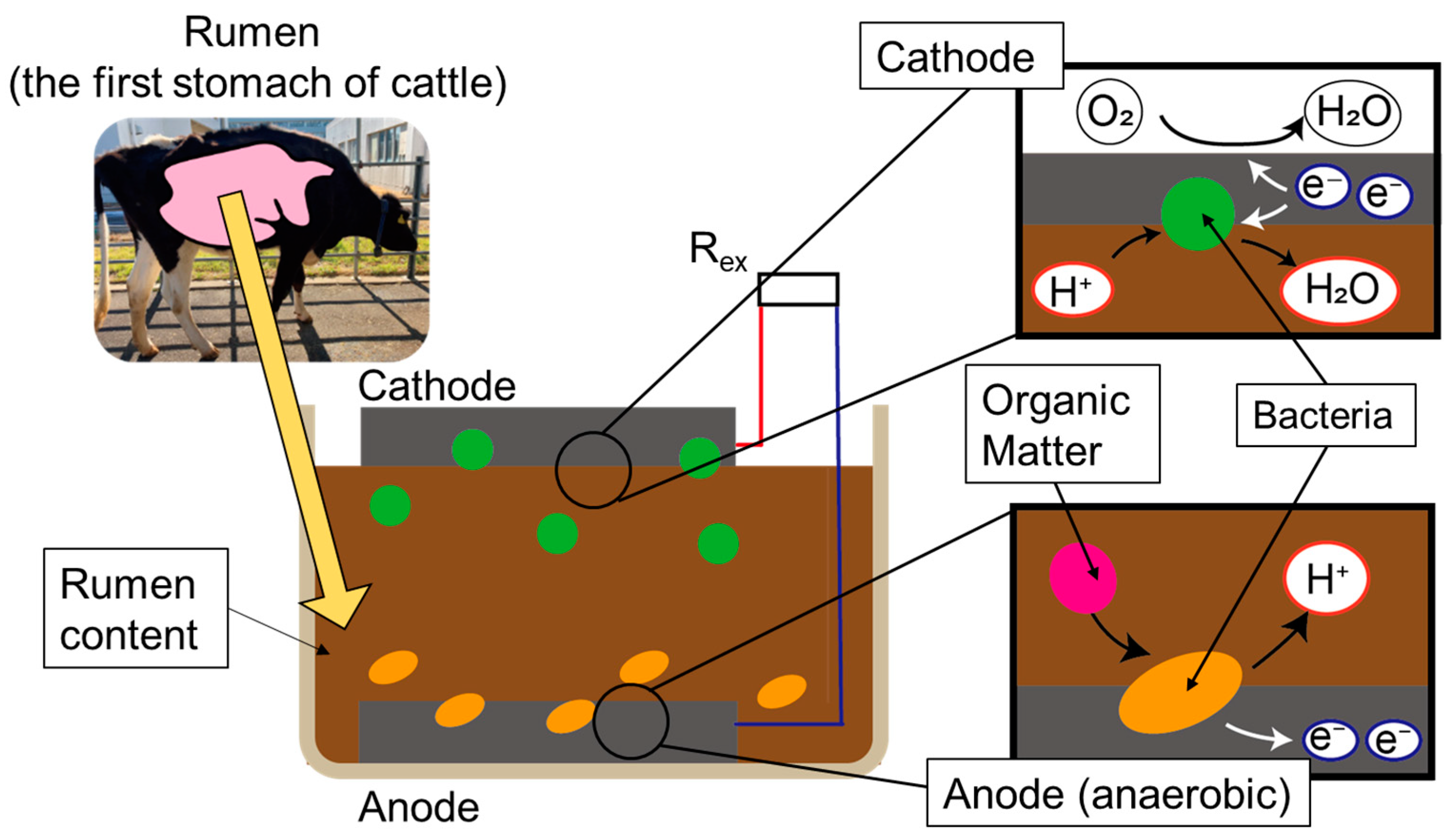 Sensors 23 04162 g001