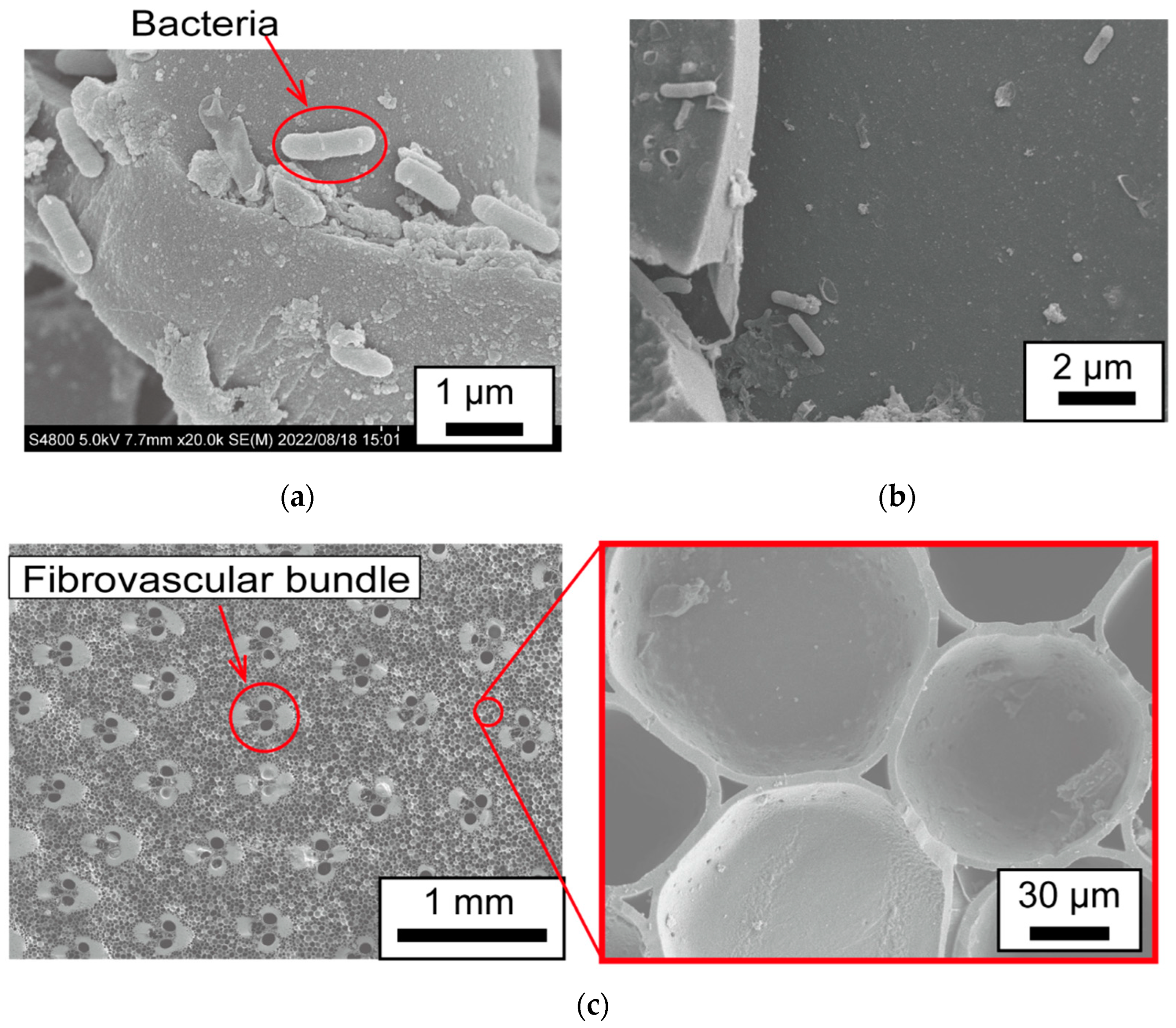 Sensors 23 04162 g009