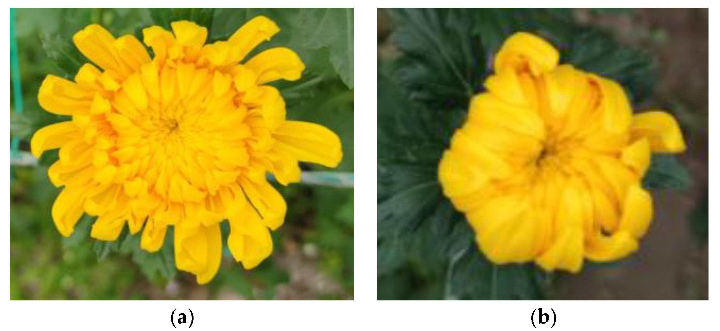 Sensors 23 04234 g001