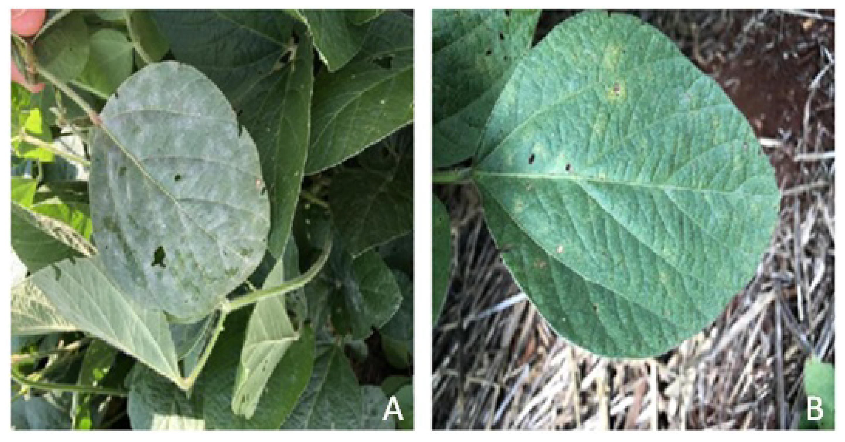 Sensors 23 04272 g005