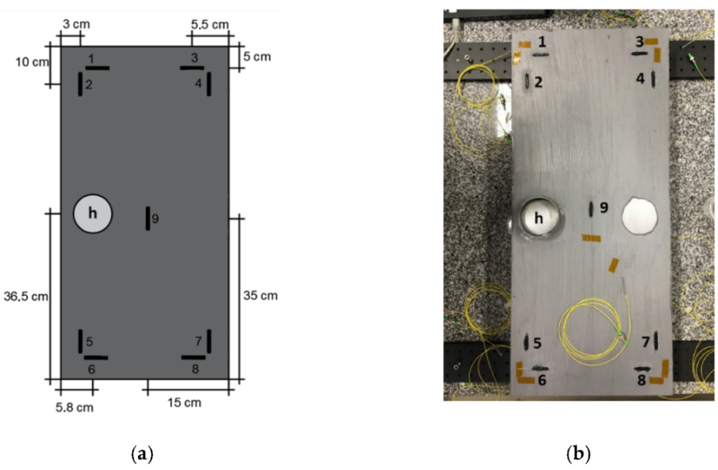 Sensors 23 04334 g012 Sensors 23 04334 g012