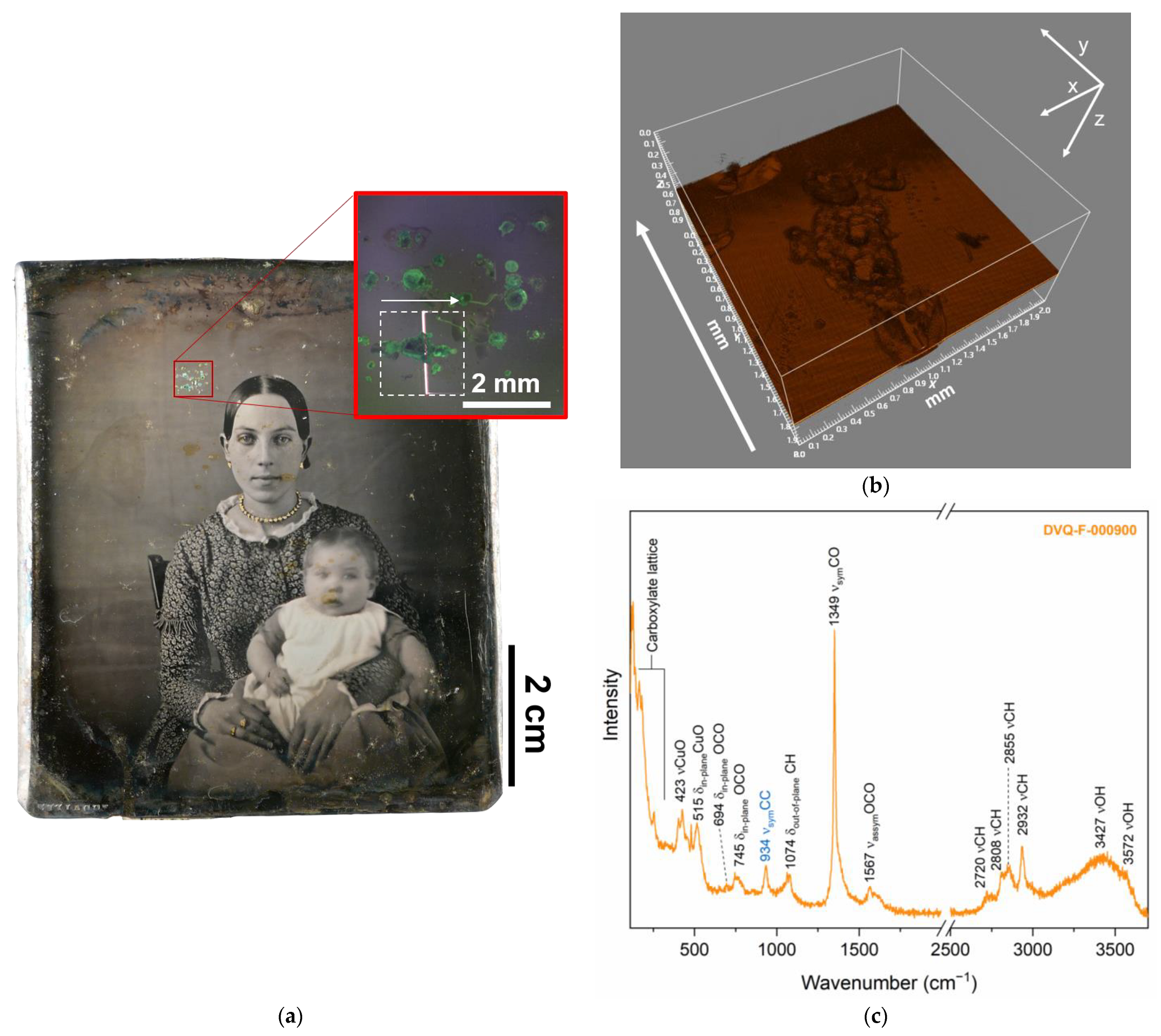 Sensors 23 04341 g007