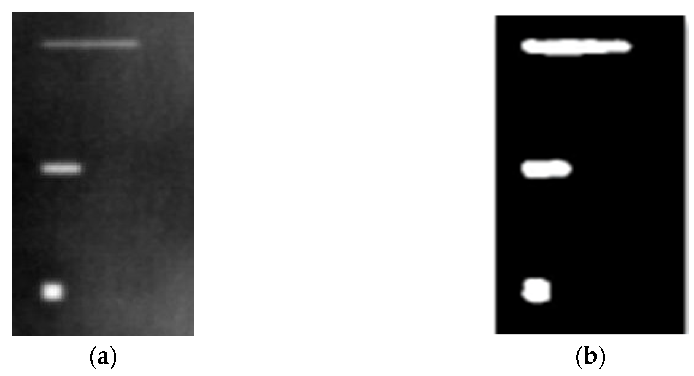 Sensors 23 04444 g013