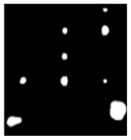 Sensors 23 04444 i033