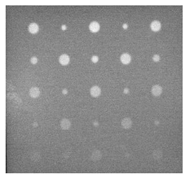 Sensors 23 04444 i049