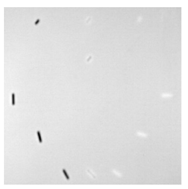 Sensors 23 04444 i053