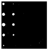 Sensors 23 04444 i058