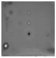 Sensors 23 04444 i065