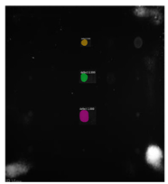 Sensors 23 04444 i067